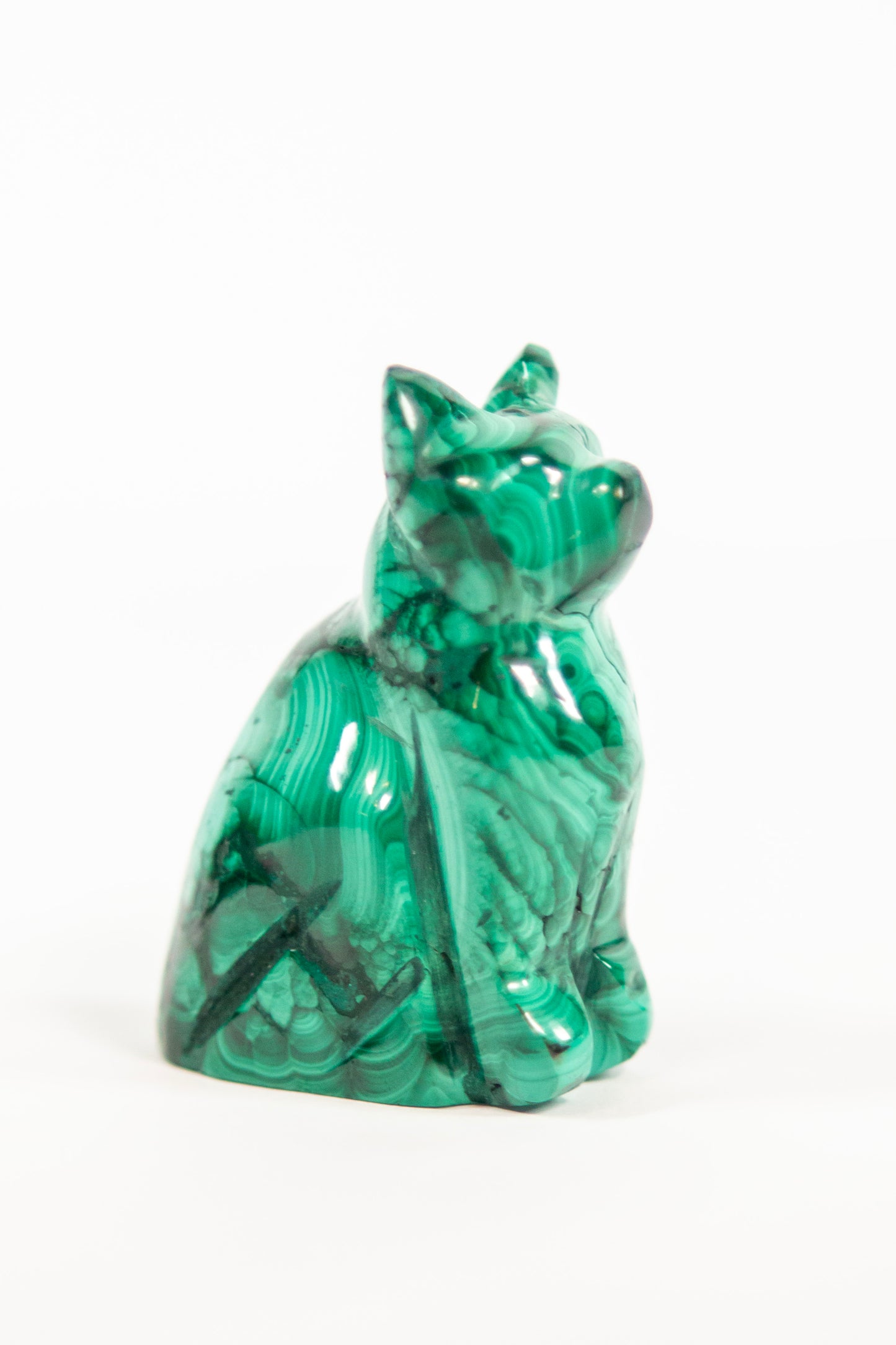 Malachite Cat Craving