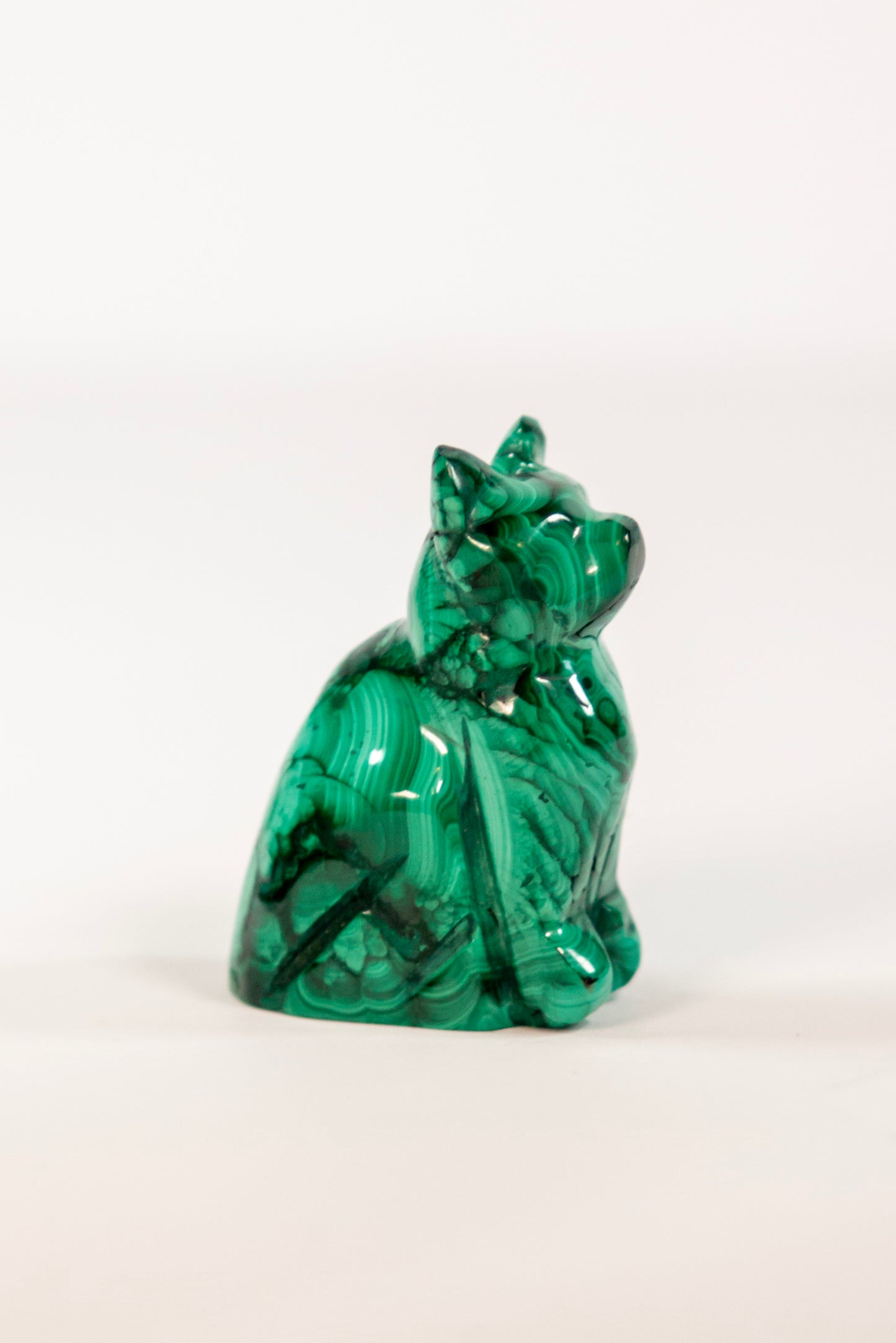 Malachite Cat Craving