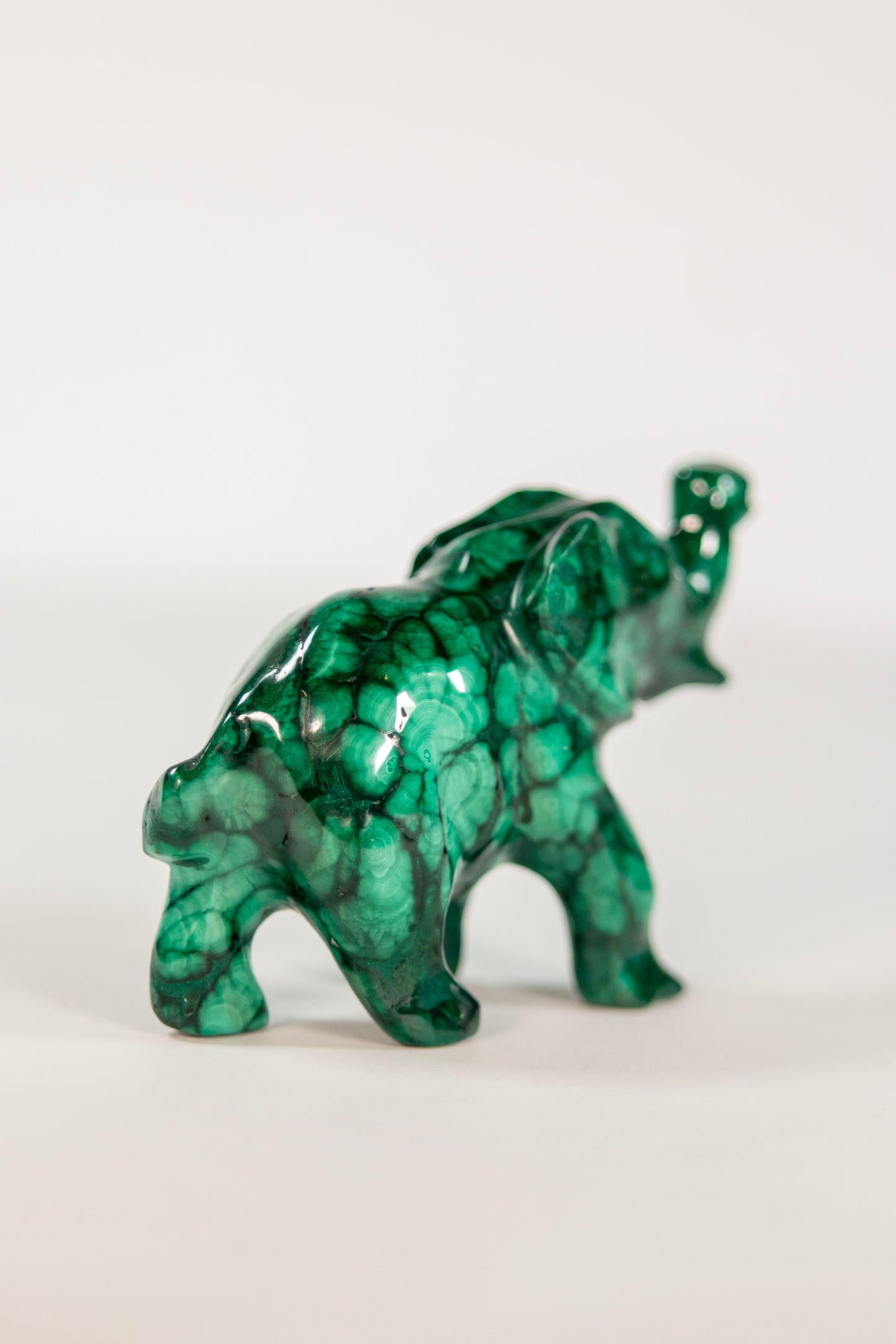 Malachite Elephant Craving