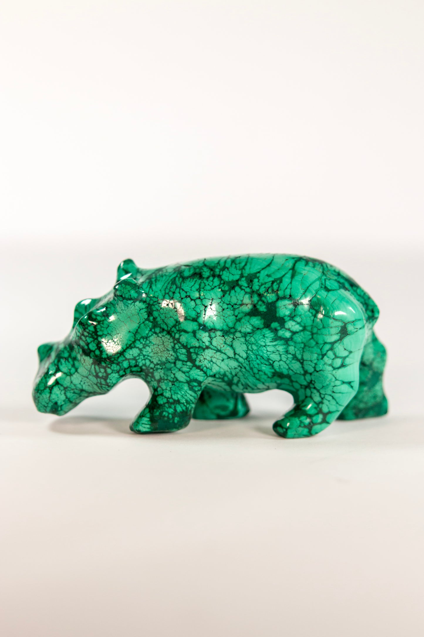 Malachite Rhinoceros Craving