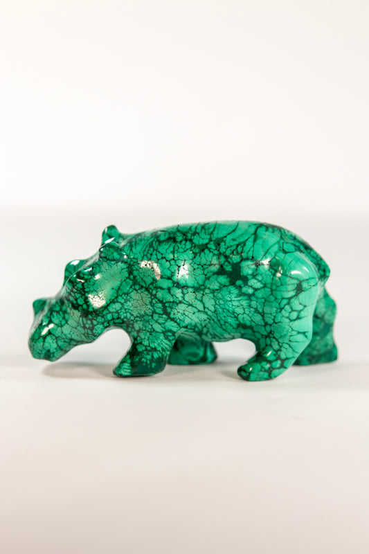 Malachite Rhinoceros Craving