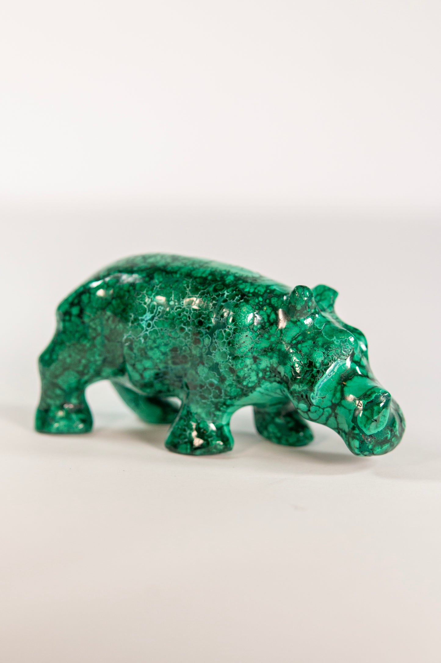 Malachite Rhinoceros Craving