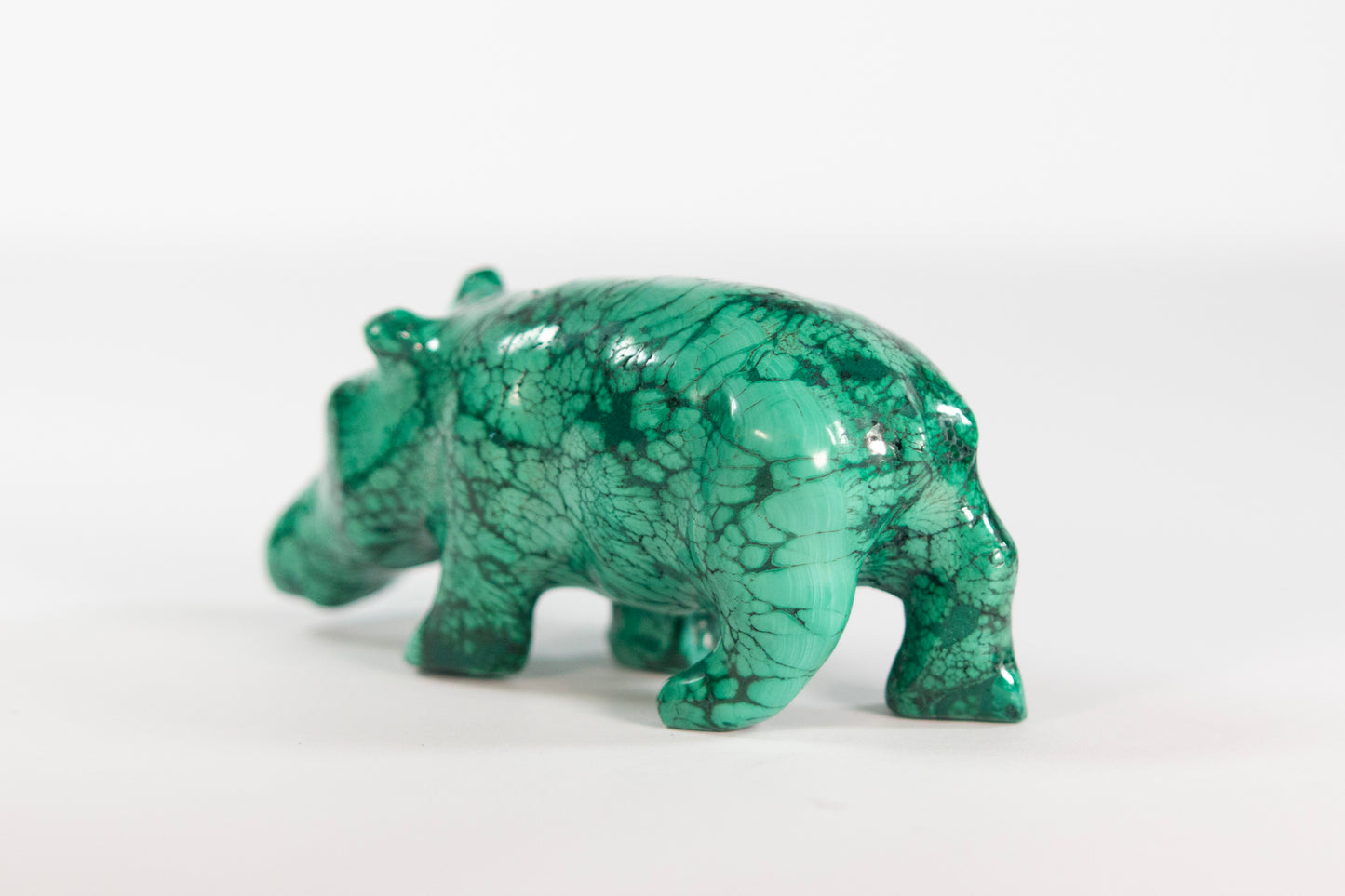Malachite Rhinoceros Craving