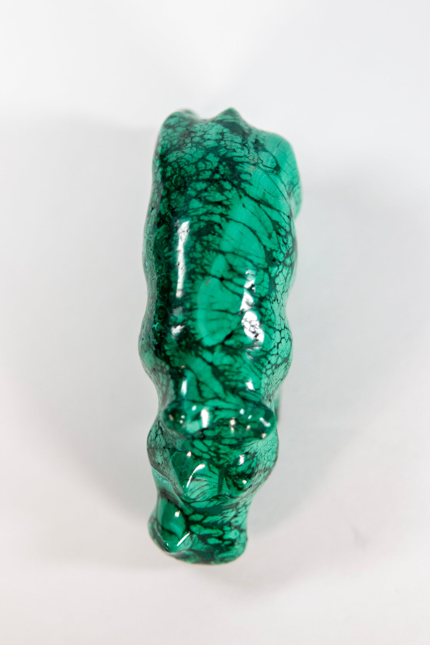 Malachite Rhinoceros Craving