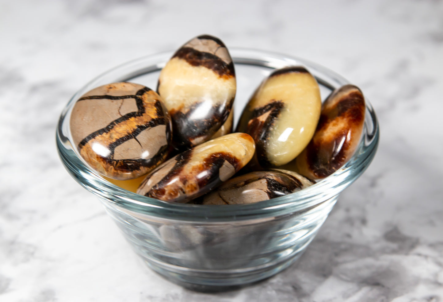 Septarian Palm Stones