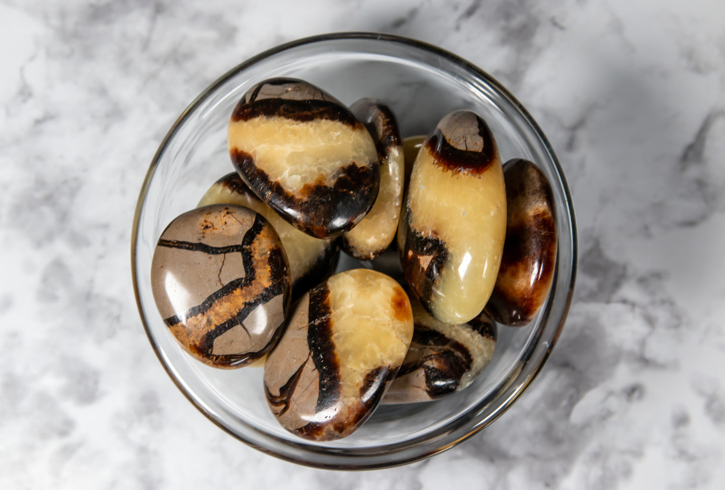 Septarian Palm Stones