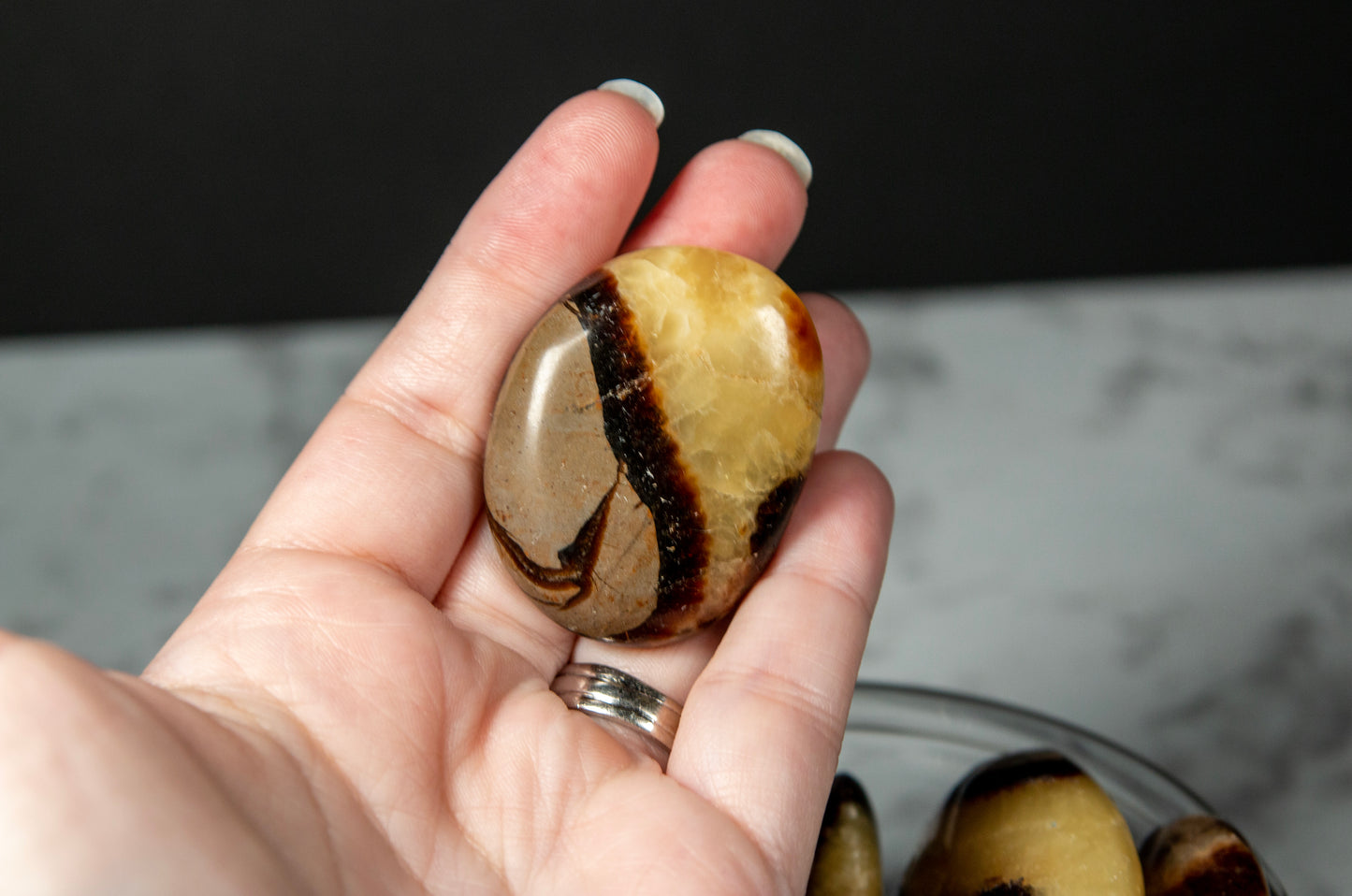 Septarian Palm Stones